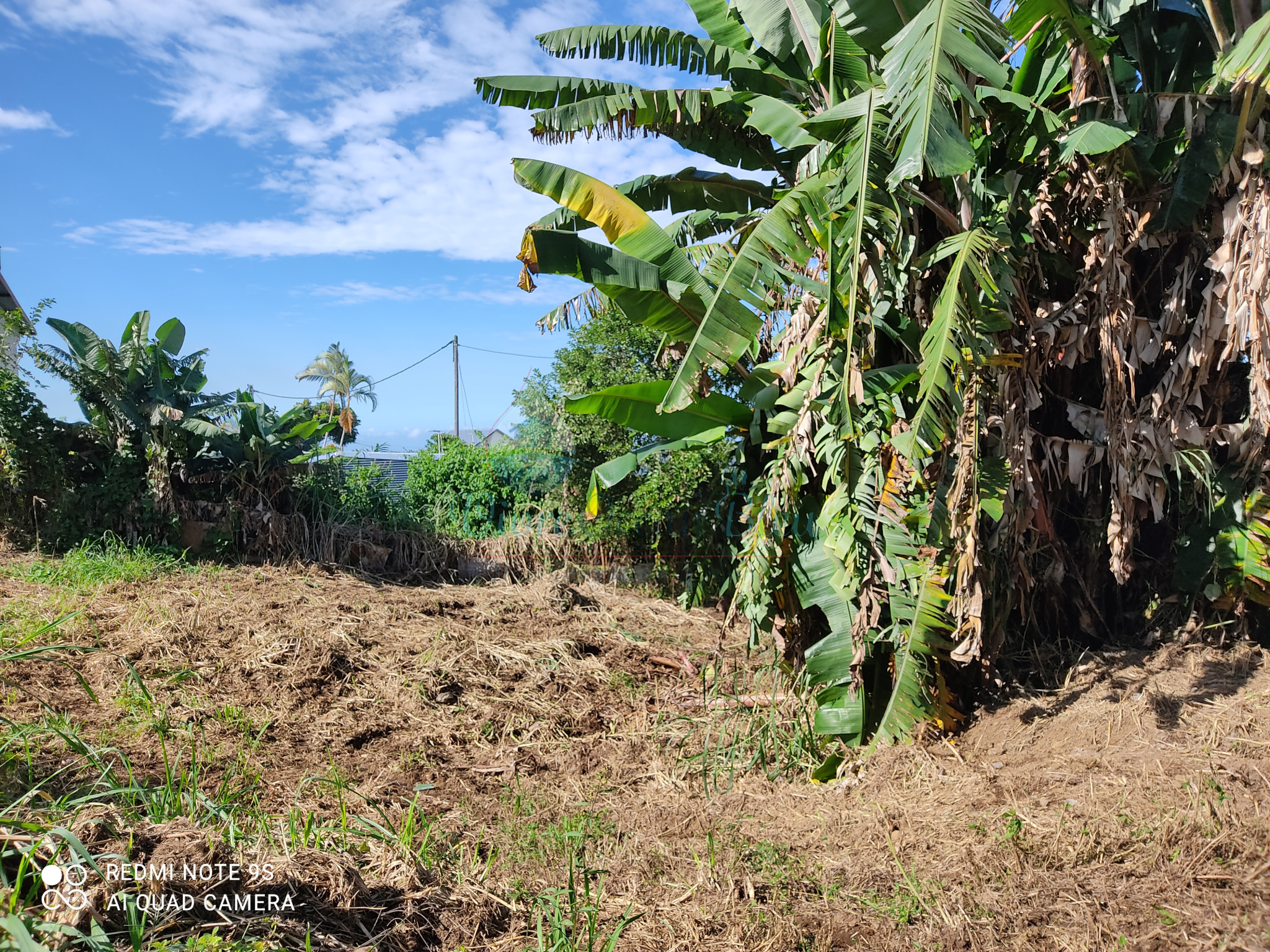 A vendre terrain à La Rivière SaintLouis Achat / Vente Vivre Océan